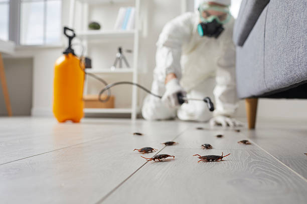 Commercial Rodent Management in Hoschton